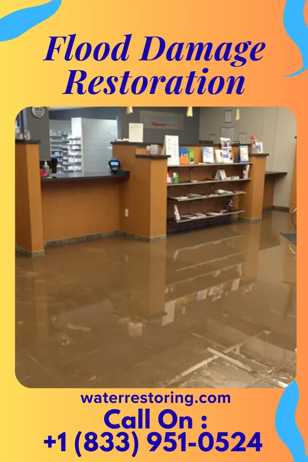 Flood Damage Restoration in North, SC