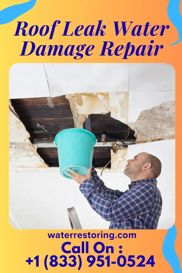 Roof Leak Water Damage Repair in North, SC