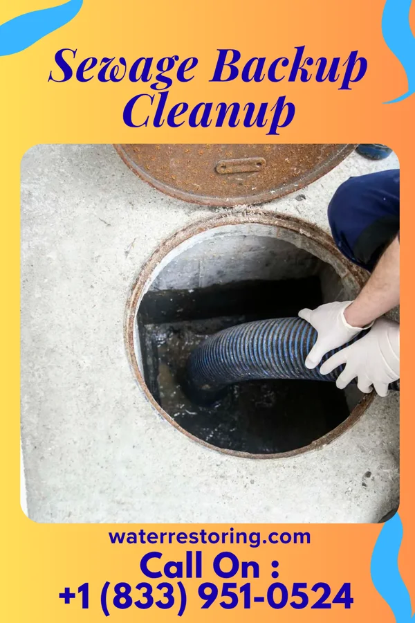 Sewage Backup Cleanup in North, SC