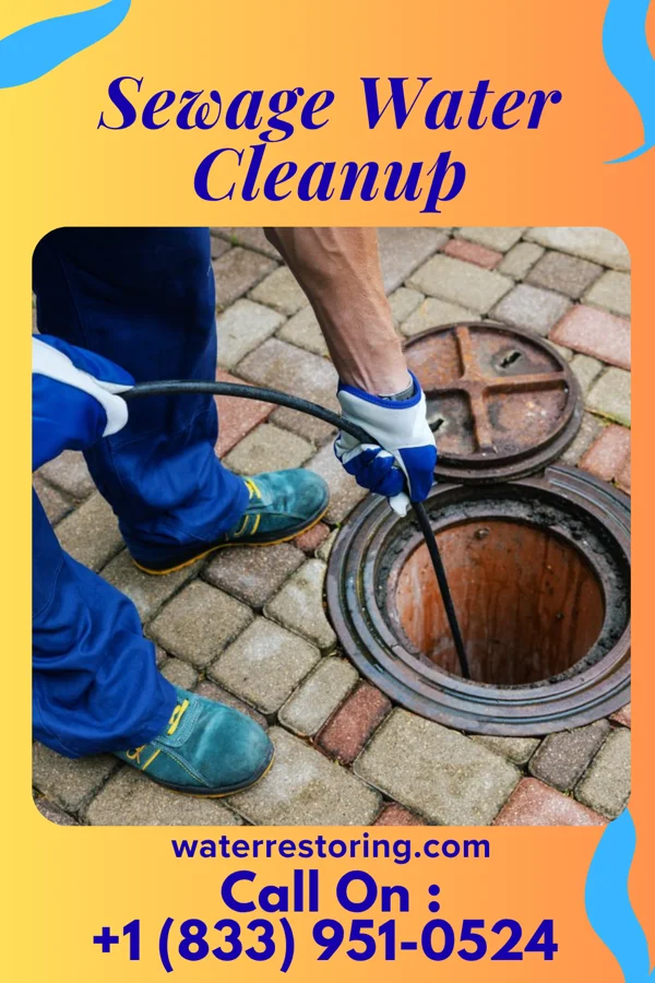 Sewage Water Cleanup in North, SC